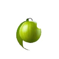GOOSBERRY INC logo - Similar company to Gen Four Tech