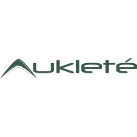 Aukleté Digital logo - Similar company to Logic Plus Information Technologies Cc