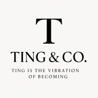 TING & CO. logo - Similar company to Techistaan