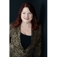 Sherrilynne Starkie Consulting logo - Similar company to Binners' Project