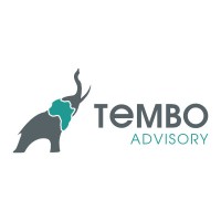 TEMBO ADVISORY logo - Similar company to Basics Finance