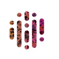 SStraight Circles logo - Similar company to Sstraight Circles Foundation