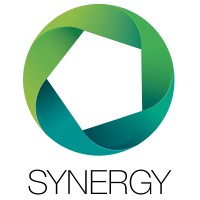 Synergy Development Group logo - Similar company to Wisegold Advisory
