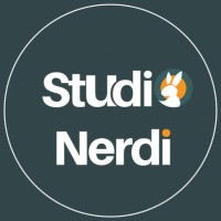 Studio Nerdi logo - Similar company to Yastudio.Co