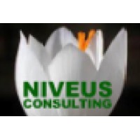 Niveus Consulting