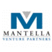 Mantella Venture Partners logo - Similar company to Mantella Group