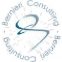 Bernieri Consulting logo - Similar company to Crazy Red Team