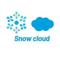 Snow Cloud Tech logo - Similar company to Vert Solutions