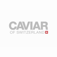 Caviar Of Switzerland logo - Similar company to Lepunto. Seo, Web Design, Branding And Social Media Services In Spain
