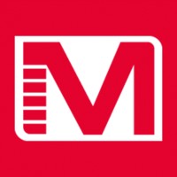 Maviflex logo - Similar company to Telewig