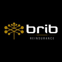 BRIB Reinsurance logo - Similar company to Relationow