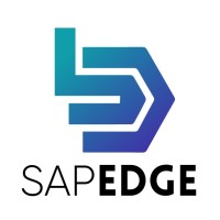 SAPEDGE logo - Similar company to Knowledge Streams
