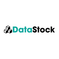 DataStock logo - Similar company to Datastock | Uma Empresa B3