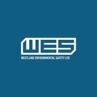 WESTLAND ENVIRONMENTAL SAFETY LTD logo - Similar company to Surface Systems Limited