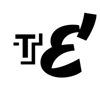 TopEcht logo - Similar company to Madlove Group