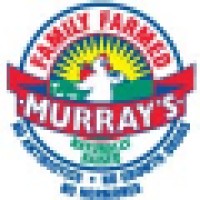 Murray'S Chickens