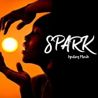 Spark Igniting Minds logo - Similar company to Talenttattoo