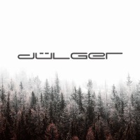 DÜLGER AĞAÇ SANAYİ A.Ş. logo - Similar company to Queenslandeu