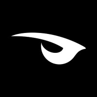 RavenGG logo - Similar company to Raven