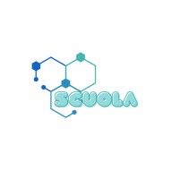 Scuola Olimpiade logo - Similar company to Star Generation