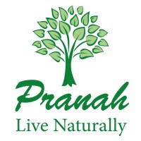 Pranah Food Tech logo - Similar company to Famco