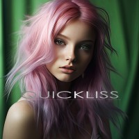 QUICKLISS logo - Similar company to Dagpacket