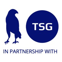 Bluehawk Consulting (Now TSG) logo - Similar company to The Select Group
