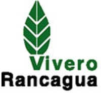Vivero Rancagua logo - Similar company to Inacap Sede Rancagua