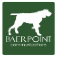Baerpoint Consulting