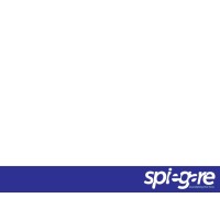 Spiegare Consulting logo - Similar company to Ed Husic Mp