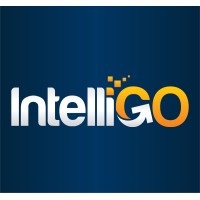 IntelliGO Networks Inc logo - Similar company to Actzero, A Watchguard Brand
