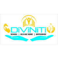 TheDiviniti logo - Similar company to Mahhaguru Navgrah Private Limited