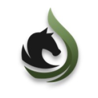 Dark Horse Exploration, LLC logo - Similar company to Olifant Energy Ii, Llc