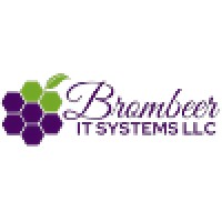 Brombeer IT Systems LLC logo - Similar company to Brainhunter Recruiting (India) Private Limited