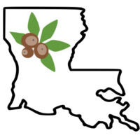 Buckeye Consulting Llc