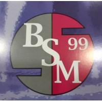B.S.M.99 SERVICIOS  S.L. logo - Similar company to Acecho Seguridad Sl