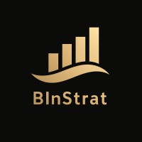 BInStrat logo - Similar company to Danilza Representaciones E Importaciones