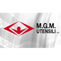 M.G.M. UTENSILI S.R.L. logo - Similar company to Crv International