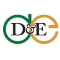 D&E Business Consulting