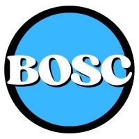 Blue Ocean Strategic Consulting logo - Similar company to Workforcevalley.Com