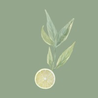 TheThymeLime Health and Wellbeing logo - Similar company to 4Ground Solutions