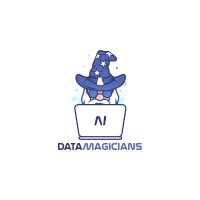 Data Magicians logo - Similar company to Data-Spiders