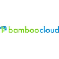 Bamboocloud (formerly known as SkyworthTTG) logo - Similar company to Malong Technologies
