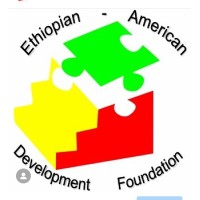 Ethiopian American Development Foundation logo - Similar company to Silicon Valley Diversity And Inclusion Professionals (Svdip)