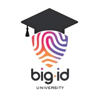 BigID University logo - Similar company to Rdf Consulting