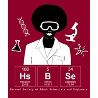 Harvard Society of Black Scientists and Engineers logo - Similar company to Harvard Black Students Association