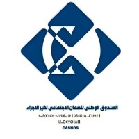 Caisse Nationale de Sécurité Sociale des non-salariés ( CASNOS ) logo - Similar company to Cnas
