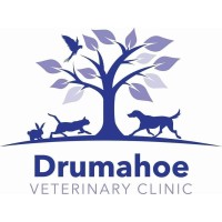 Drumahoe Veterinary Clinic Limited