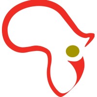 Africa InSight Communications logo - Similar company to Gete