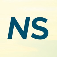 Nearshore logo - Similar company to Wire19